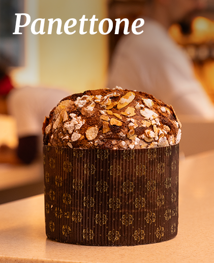 Panettone